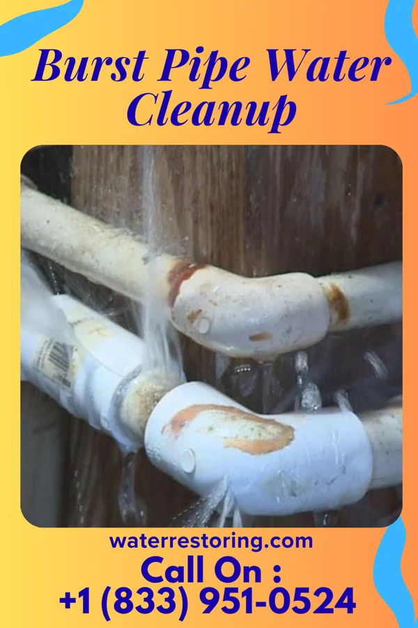 Burst Pipe Water Cleanup in Fountain Hill, PA