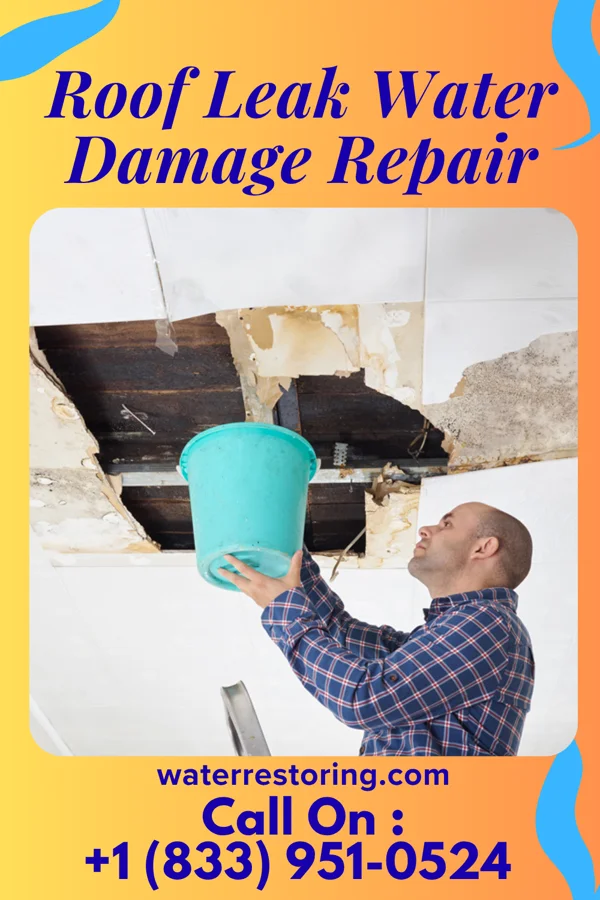 Roof Leak Water Damage Repair in Fountain Hill, PA